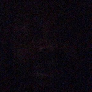 Meet your Posher, Larry